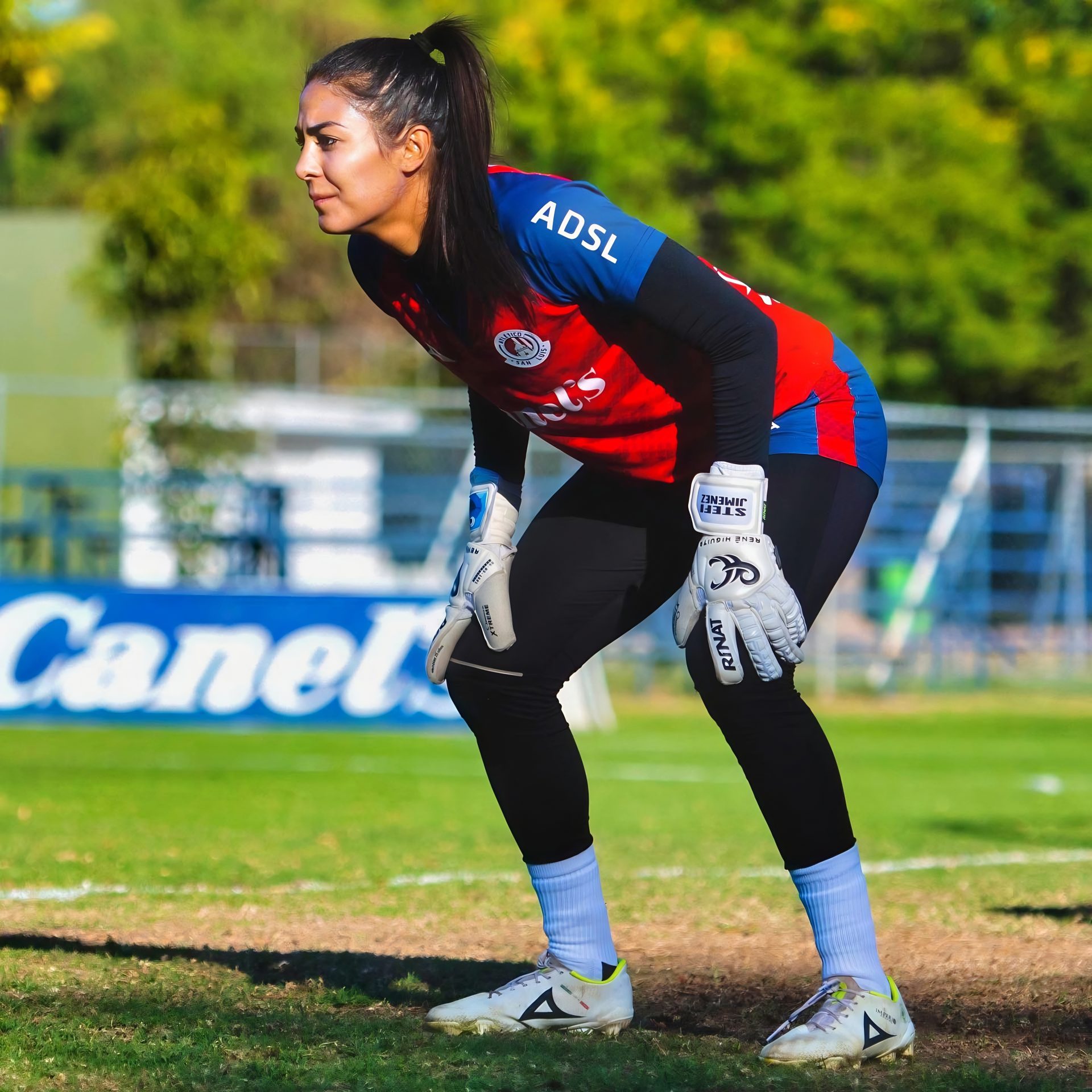 Stefani Jimenez